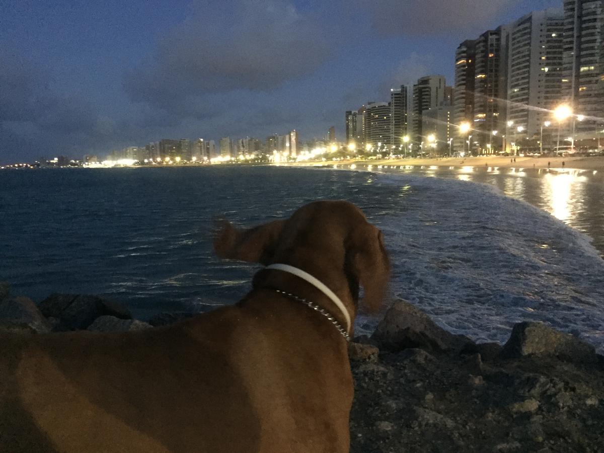 Apartamento Na Melhor Localizacao De Fortaleza!! מראה חיצוני תמונה